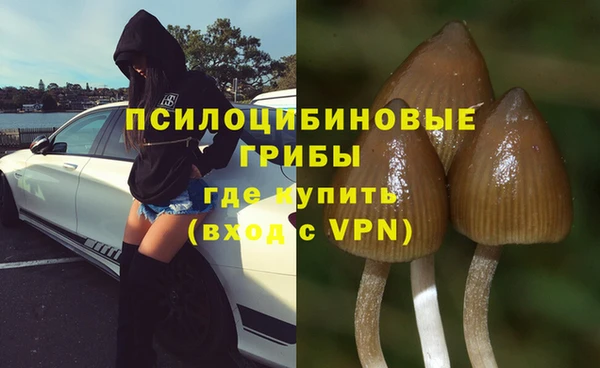 гидропоника Арсеньев